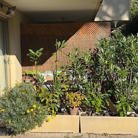 Studio Tout Confort Au Calme Avec Jardin Proche Cannes Le Cannet Bagian luar foto
