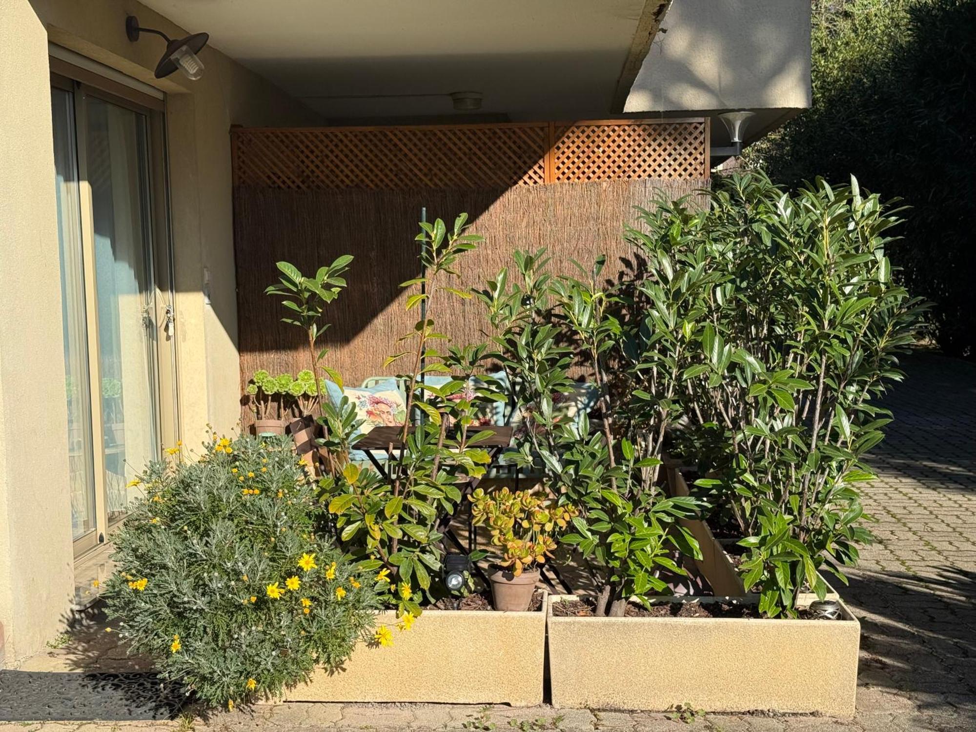 Studio Tout Confort Au Calme Avec Jardin Proche Cannes Le Cannet Bagian luar foto
